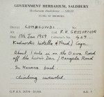 Kedrostis leloja