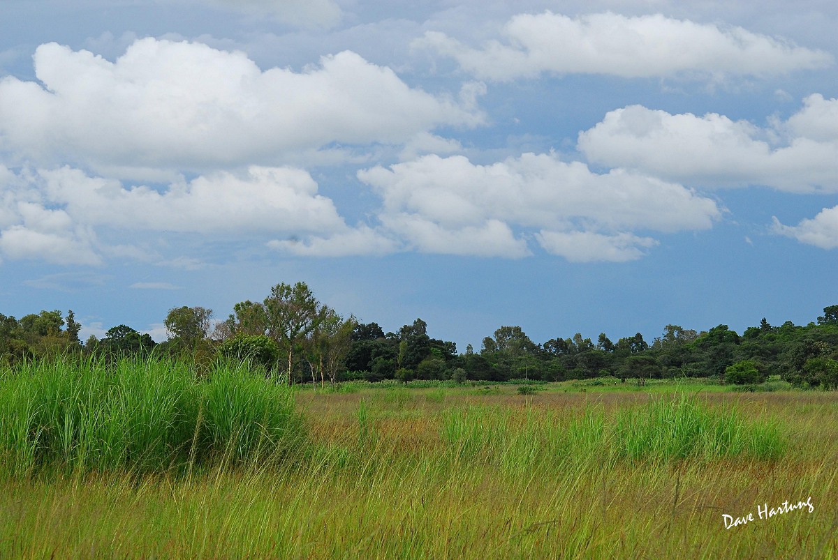 General view